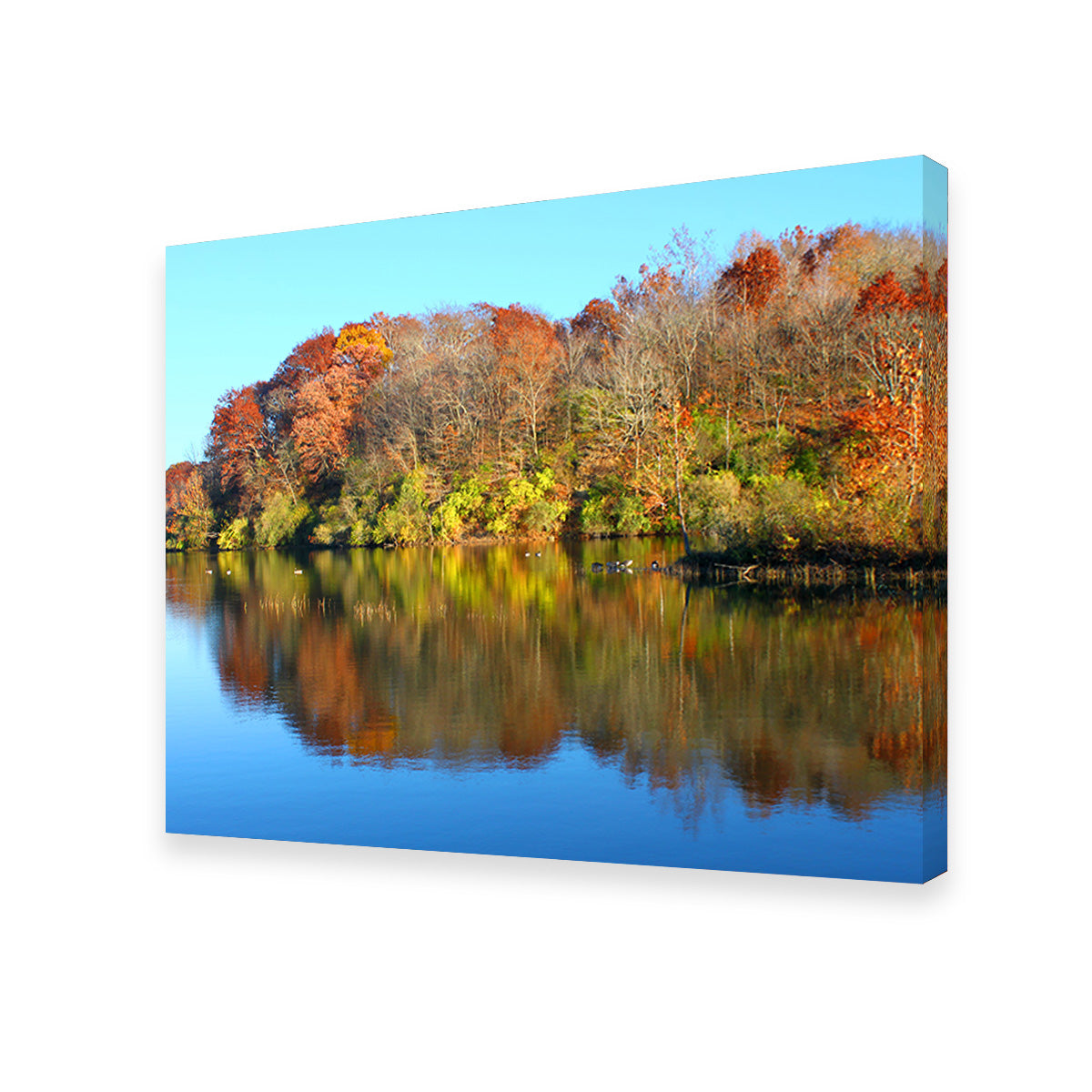Stunning Kickapoo State Park Wall Art for Your Home Decor