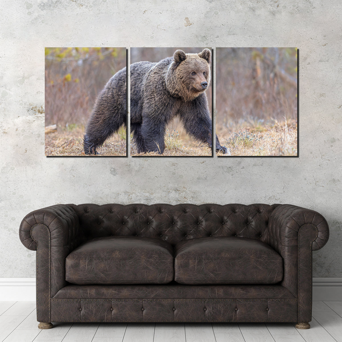 Stunning Eurasian Brown Bear Wall Art for Your Home Decor