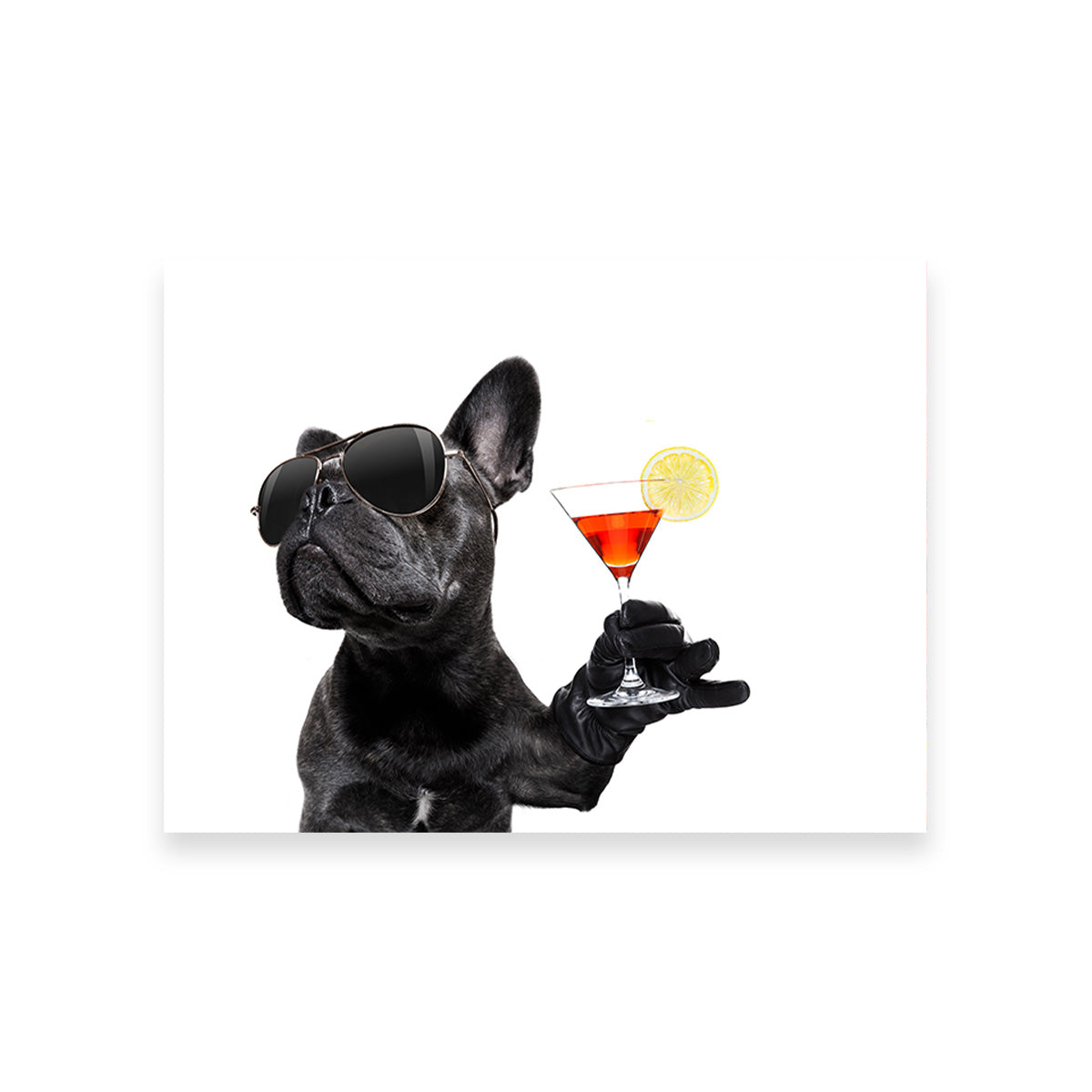 Stylish Martini Dog Wall Art for Modern Interiors