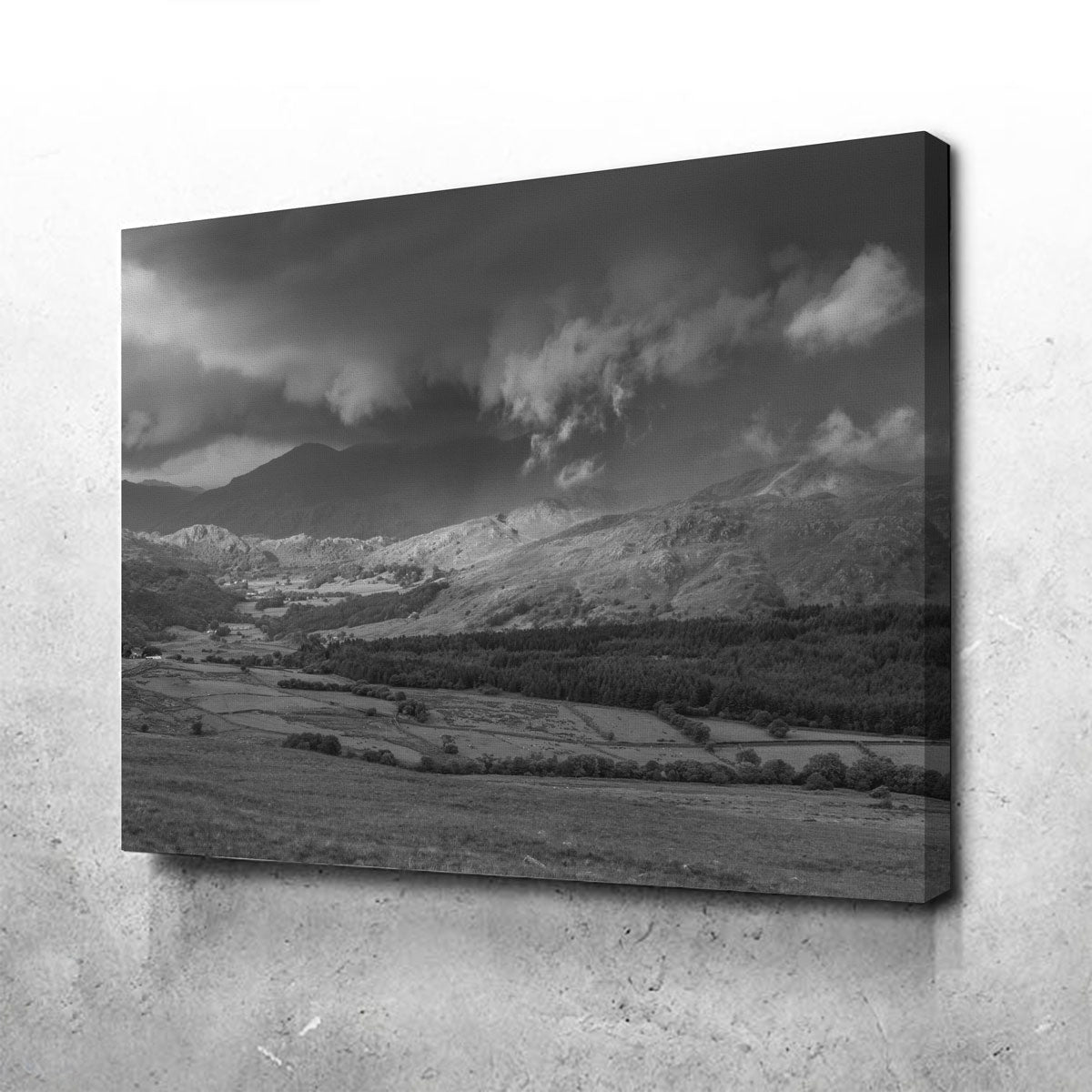 Stormy Fields Exquisite Wall Art by Mike Cotton