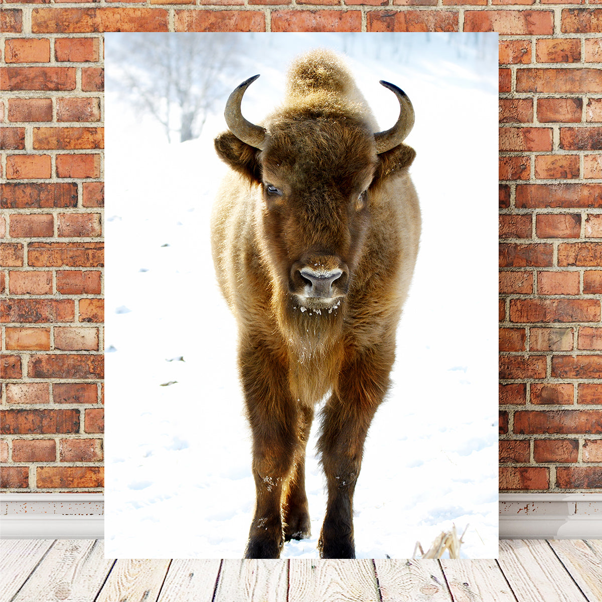 Exquisite European Bison Wall Art for Home Decor