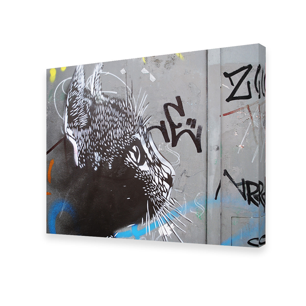 Eye - catching Street Art Cat Wall Art for Stunning Decor