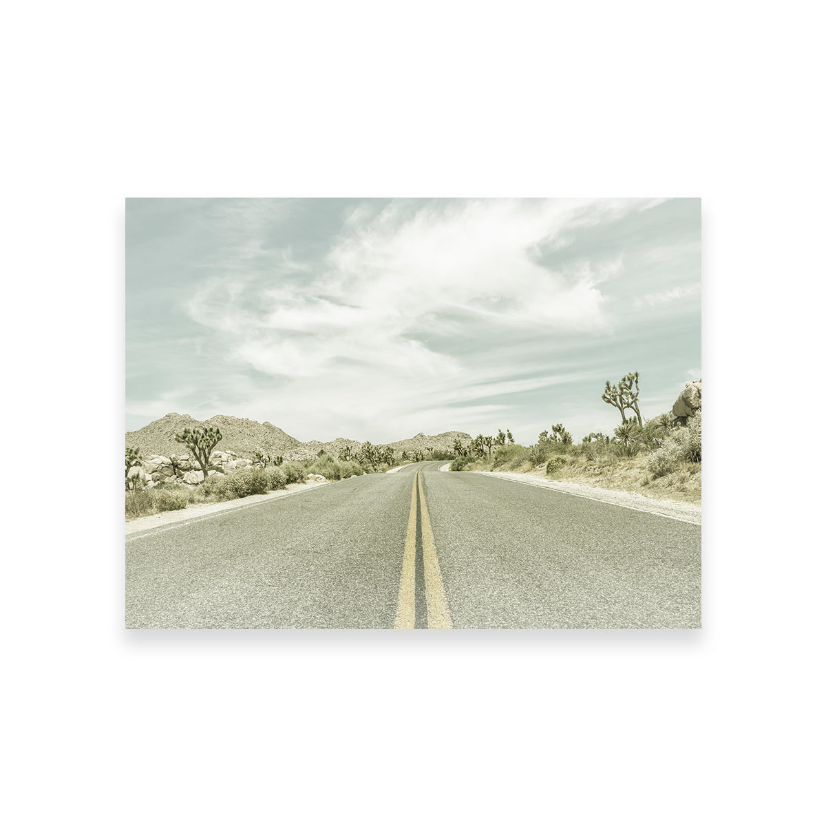 Stunning Joshua Trees Park Boulevard Wall Art by Melanie Viola