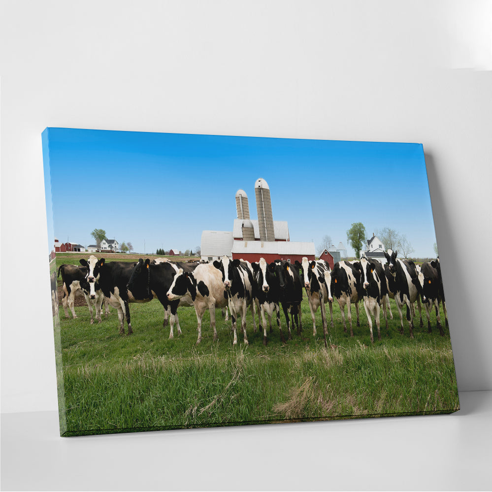Stunning Wisconsin Dairy Cows Wall Art for Home Decor