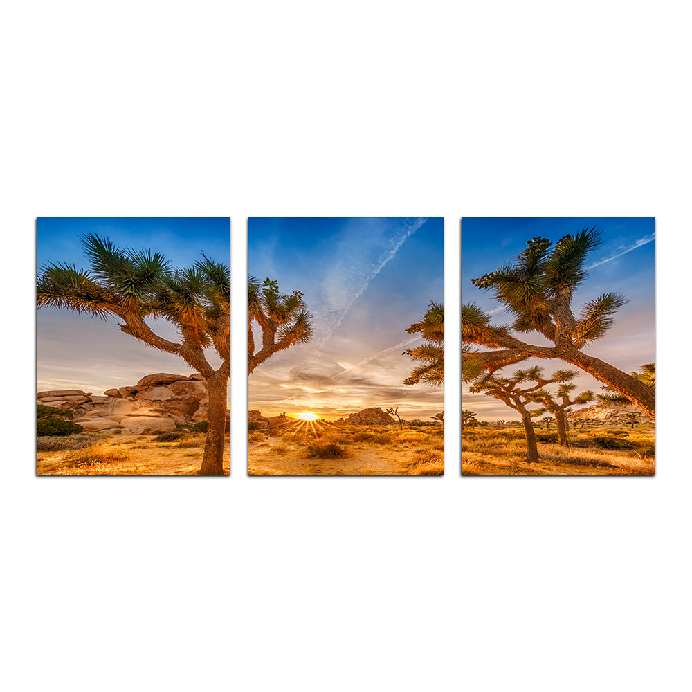 Stunning Sunset at Joshua Tree National Park Wall Art by Melanie Viola