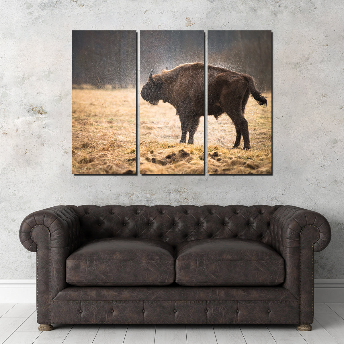 Stunning Wild Bison Shaking off Rain Wall Art for Home Decor