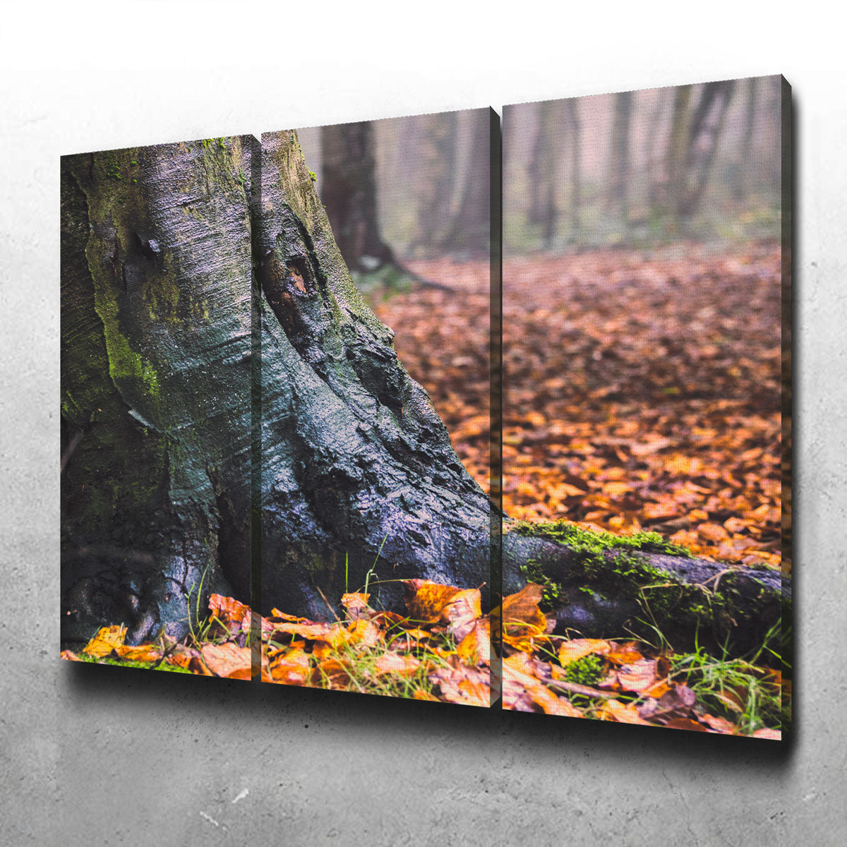 Stunning Weathered Trunk Wall Art by Mike Cotton