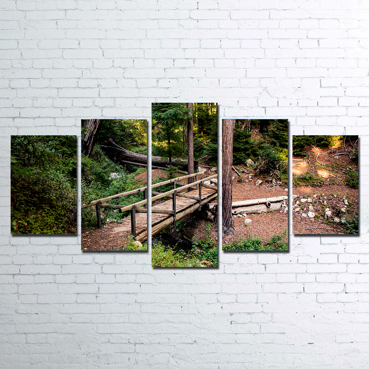 Stunning Ewoldsen Loop Bridge Wall Art by Kyle Sherry