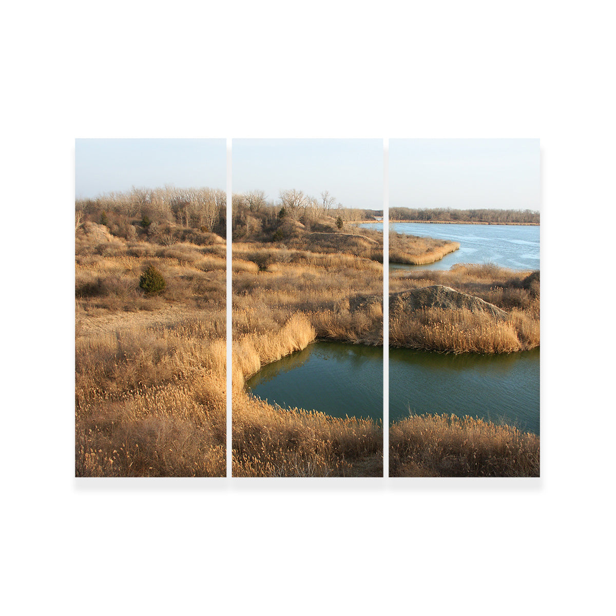 Stunning Mazonia Braidwood State Fish and Wildlife Area Wall Art - Sustainable Pine Frame Canvas