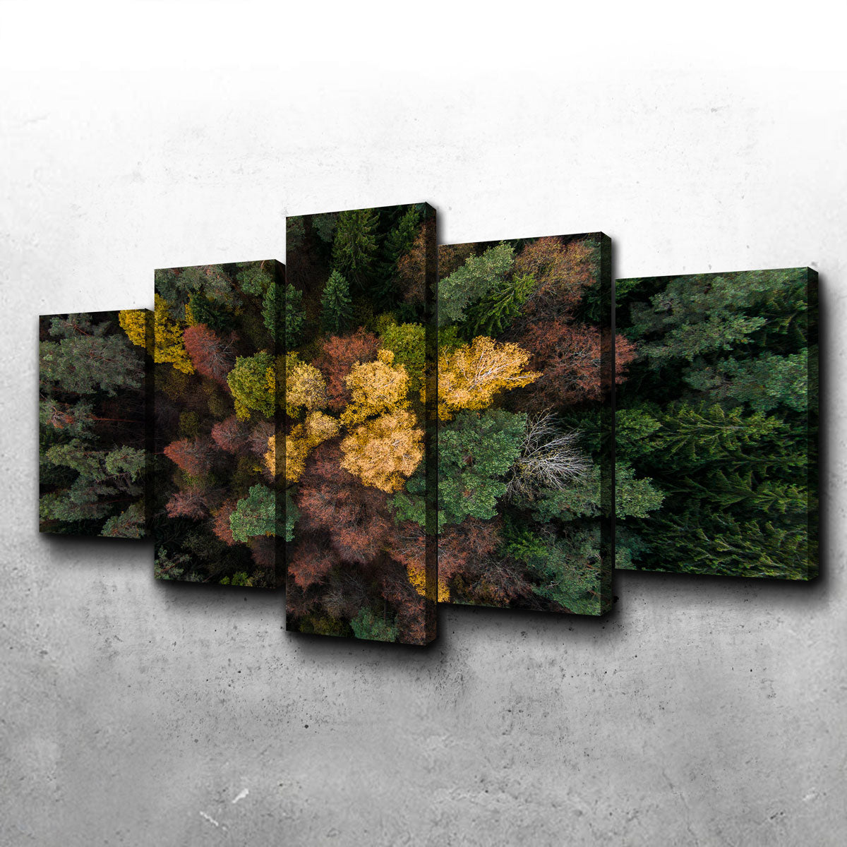 Vibrant Colorful Canopy Wall Art by Karolis Janulis