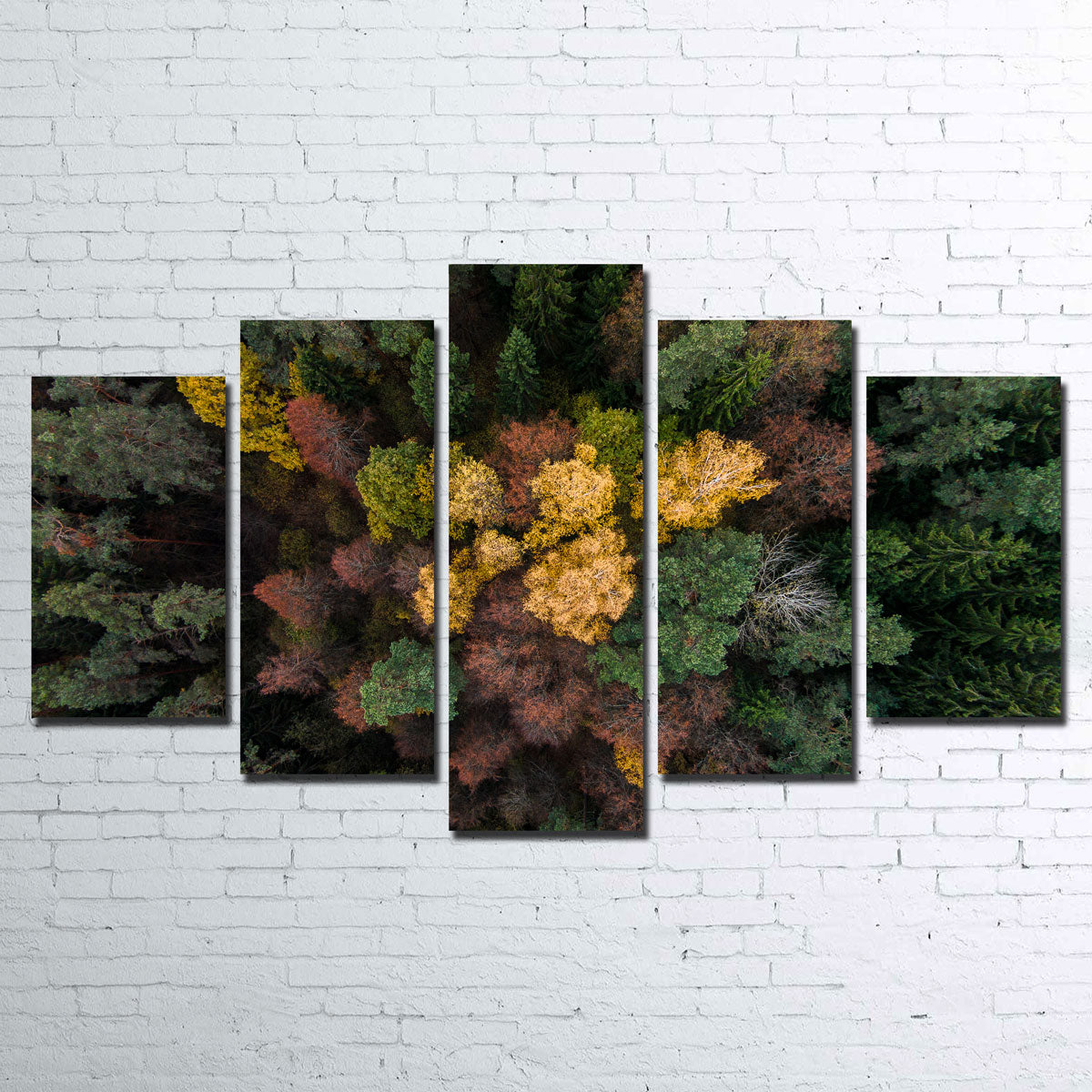 Vibrant Colorful Canopy Wall Art by Karolis Janulis