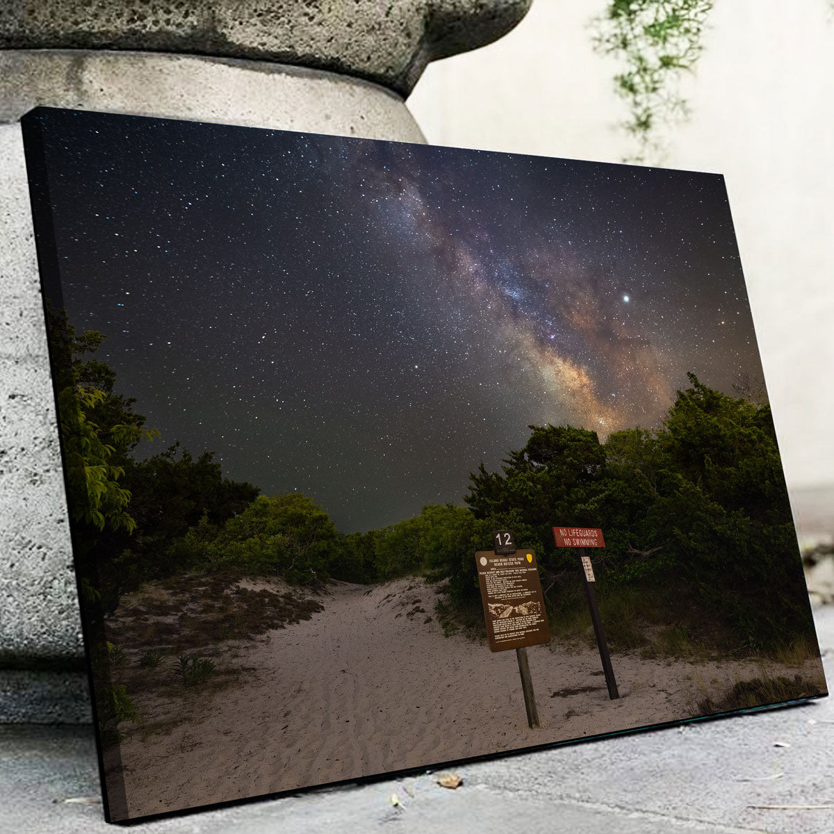 The Quest Wall Art - Stunning Museum-Quality Canvas by Shaun Mayer