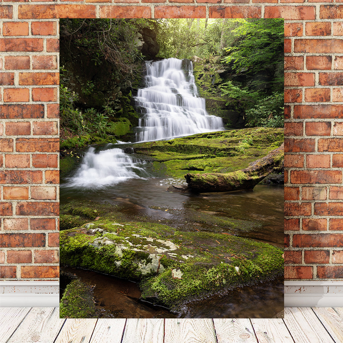 Whiplash Falls Stunning Wall Art by Shaun Mayer