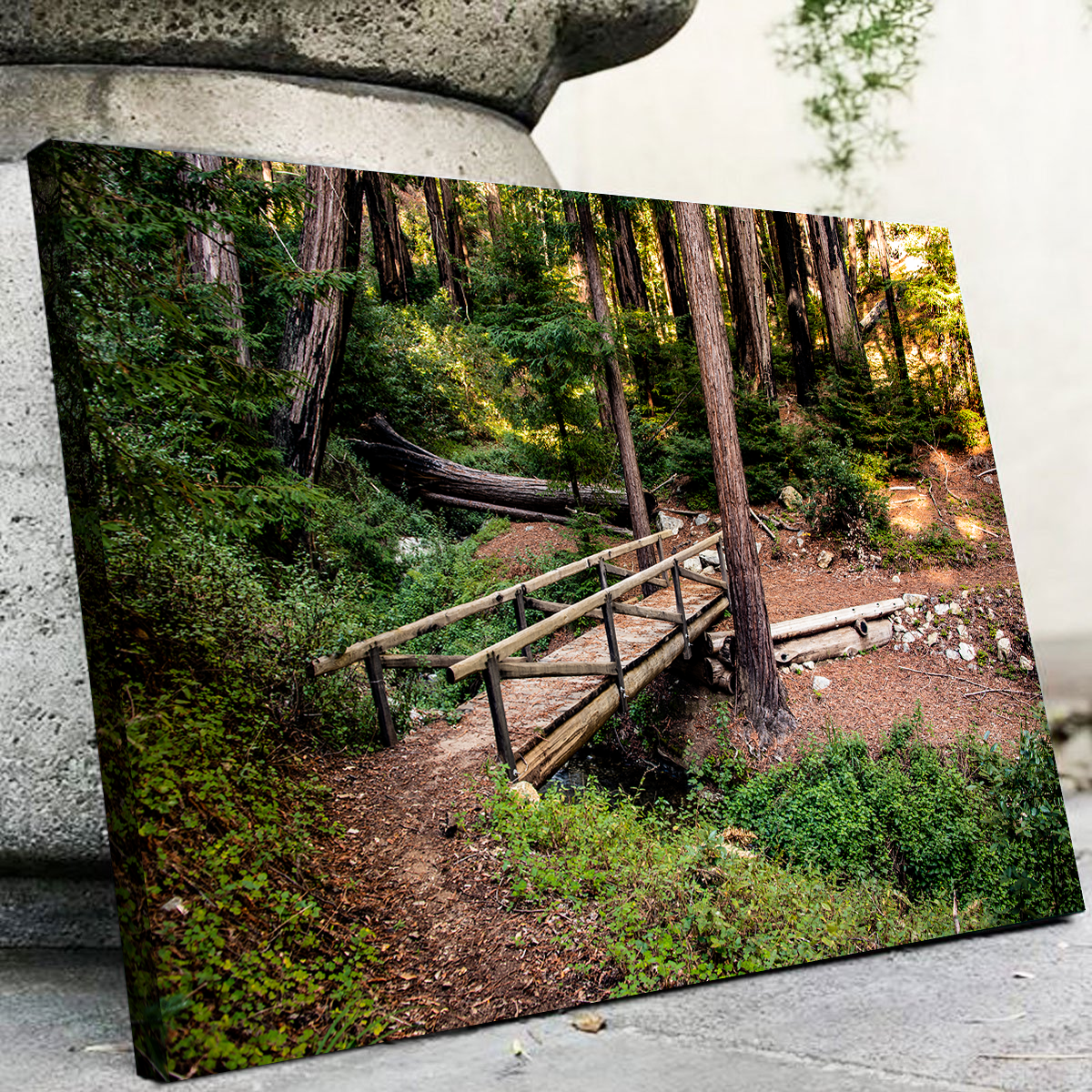 Stunning Ewoldsen Loop Bridge Wall Art by Kyle Sherry