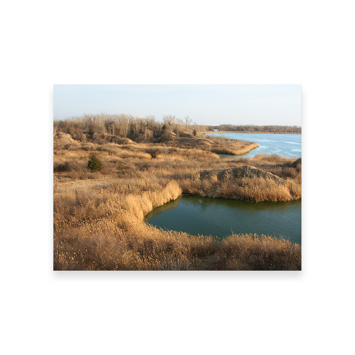 Stunning Mazonia Braidwood State Fish and Wildlife Area Wall Art - Sustainable Pine Frame Canvas