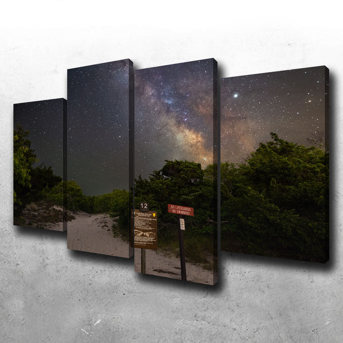 The Quest Wall Art - Stunning Museum-Quality Canvas by Shaun Mayer
