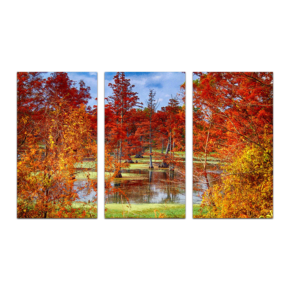 Stunning Lake Conway Cypress Trees Wall Art for Your Home Decor