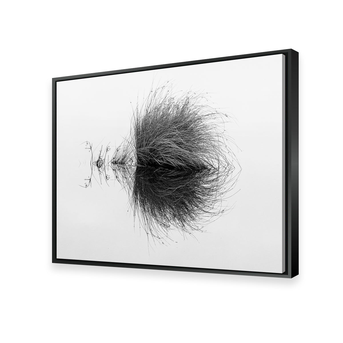 Stunning Water Bush Wall Art by Dennis Maida