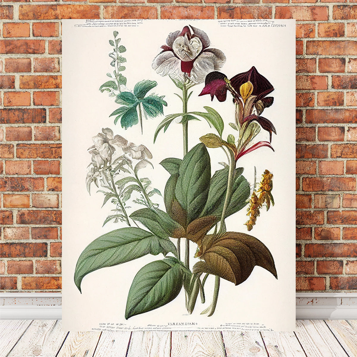 Exquisite Vintage Botanical Print Series 3 Wall Art for Stunning Decor