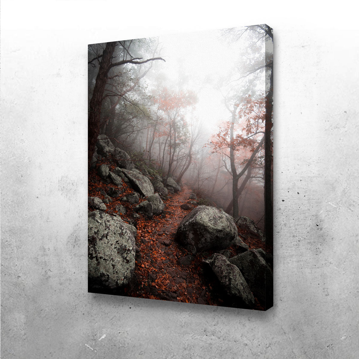 Enchanting Moody Forest Wall Art by Lucas Moore