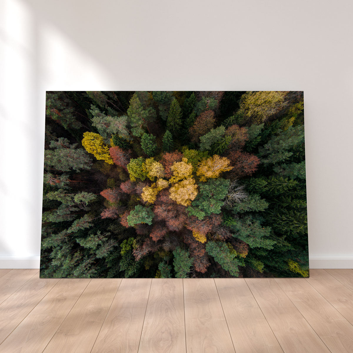 Vibrant Colorful Canopy Wall Art by Karolis Janulis