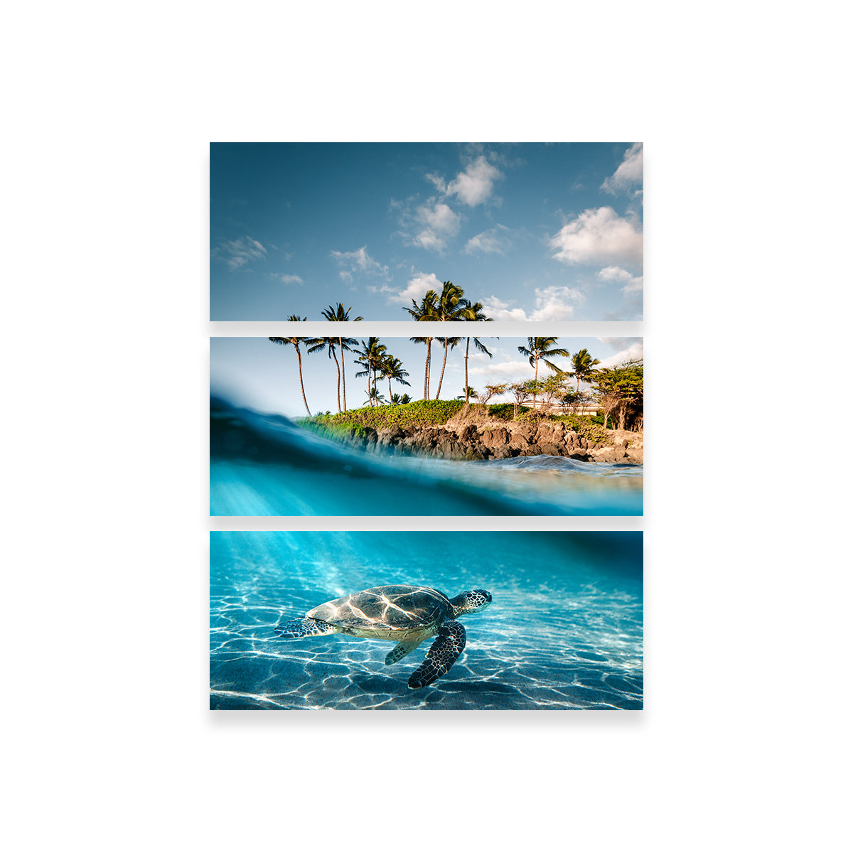Exquisite Land & Sea Wall Art by Lucas Moore