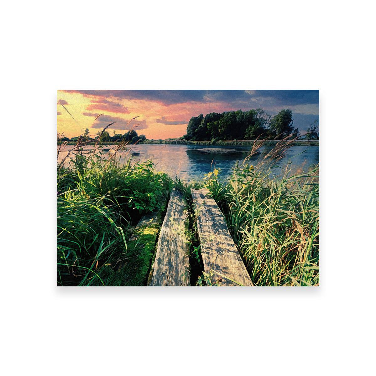 Stunning Evening Swim Wall Art by Denise Dundon