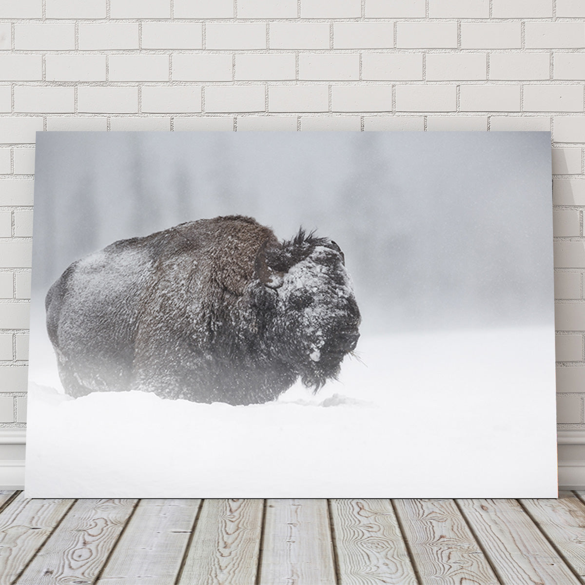 Gorgeous Yellowstone Winter Bison Wall Art for Your Home
