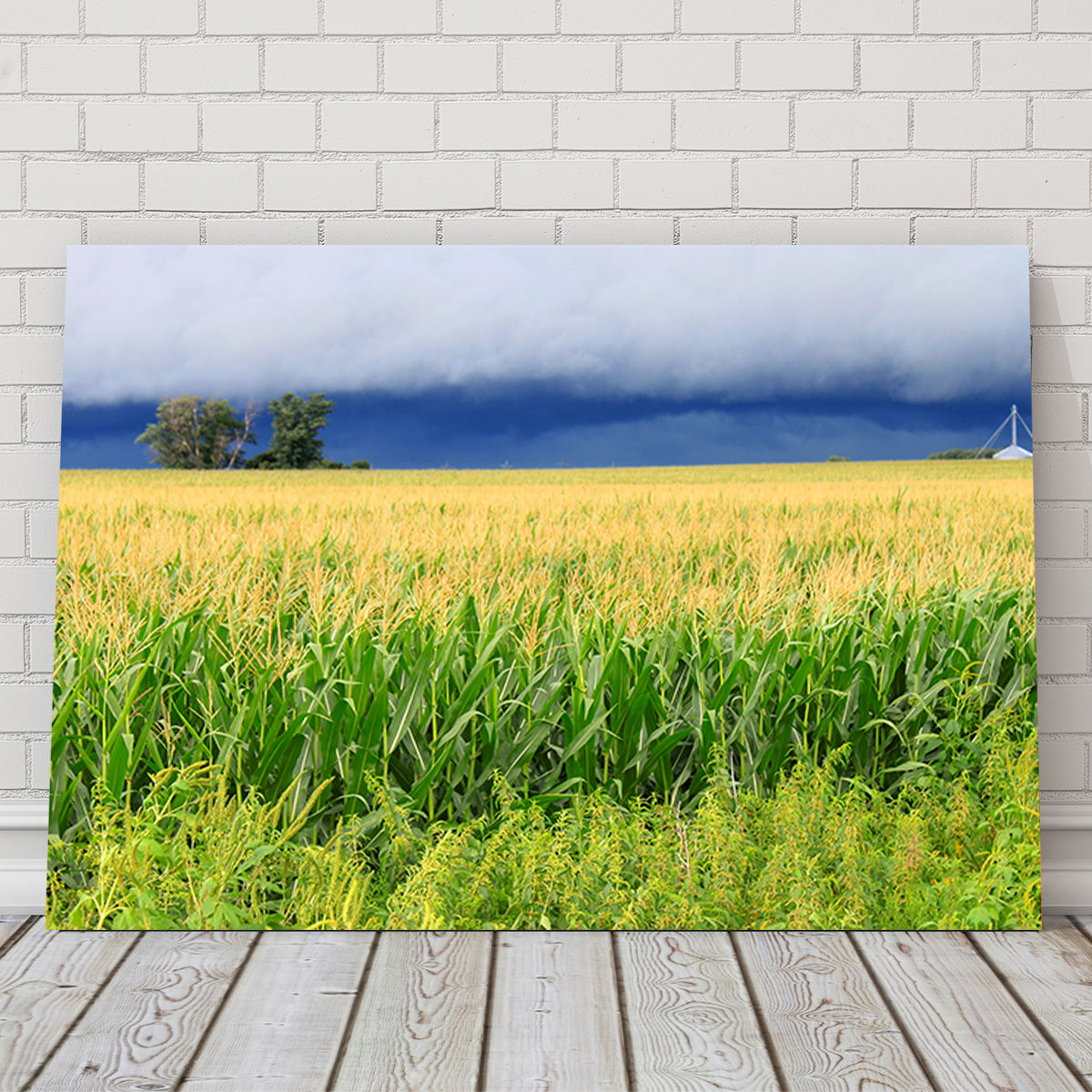 Stunning Thunderstorm Over Illinois Cornfield Wall Art for Home Decor