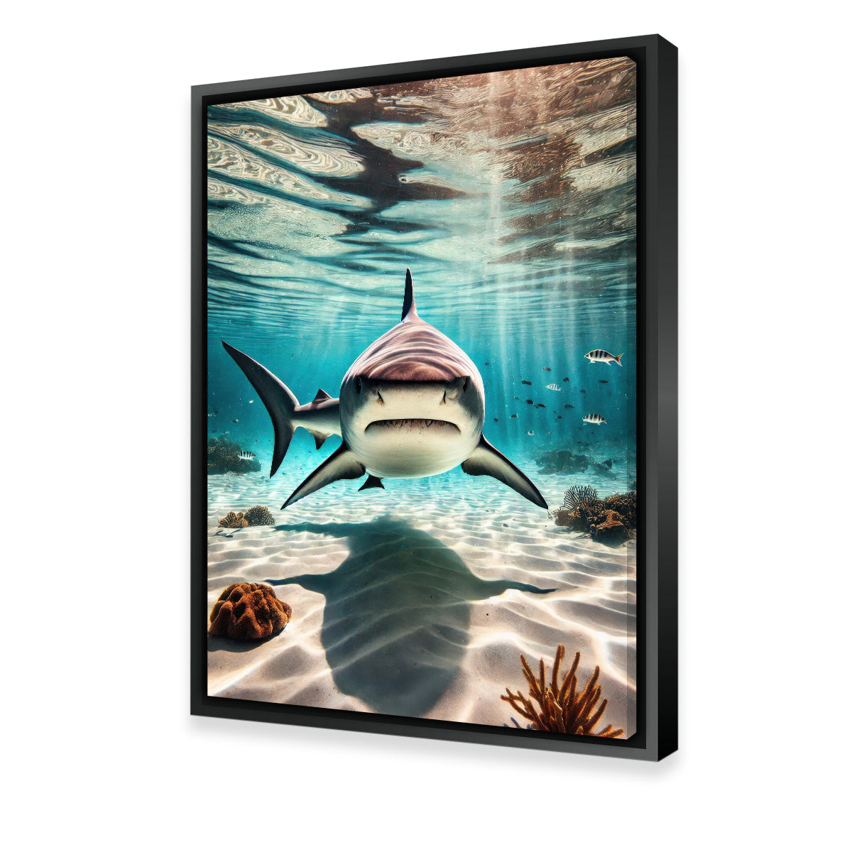 Stunning Bull Shark in Shallow Waters Wall Art for Home Decor