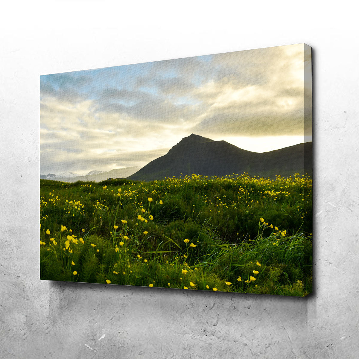 Exquisite Wildflowers Wall Art by Dennis Maida