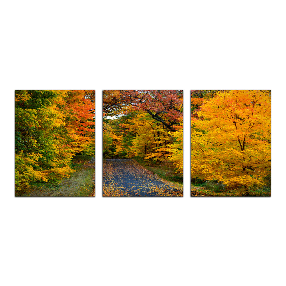 Breathtaking Lake Geneva Wisconsin Fall Road Wall Art for Stunning Home Decor