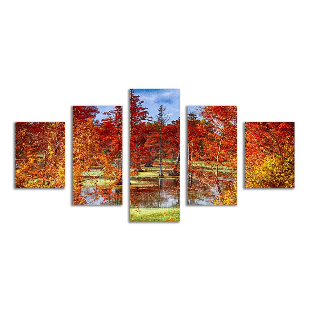 Stunning Lake Conway Cypress Trees Wall Art for Your Home Decor