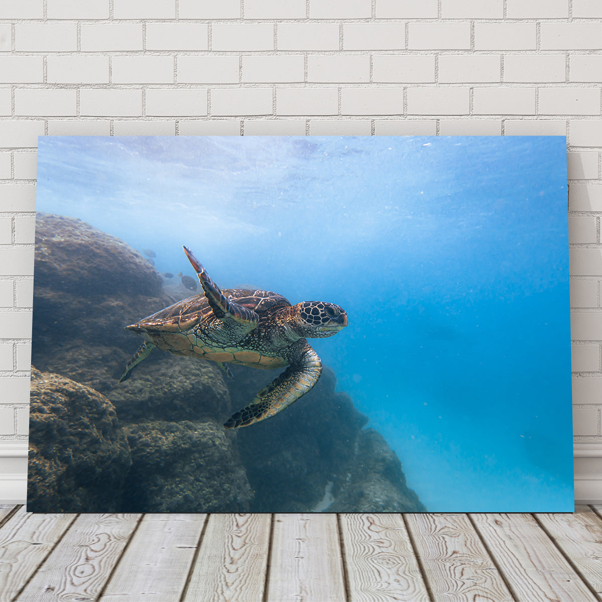Stunning Turtle Wave Wall Art by Lucas Moore