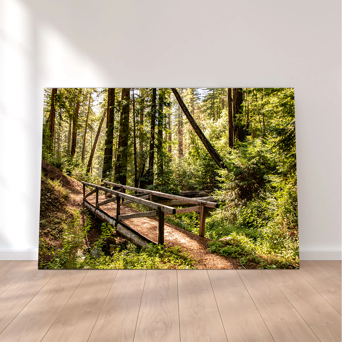 Stunning Ewoldsen Trail Bridge Wall Art by Kyle Sherry