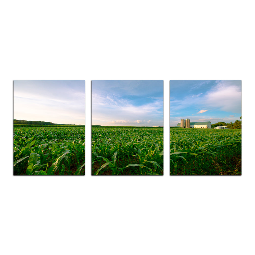 Exquisite Wisconsin Dairy Farm Against Corn Field Wall Art