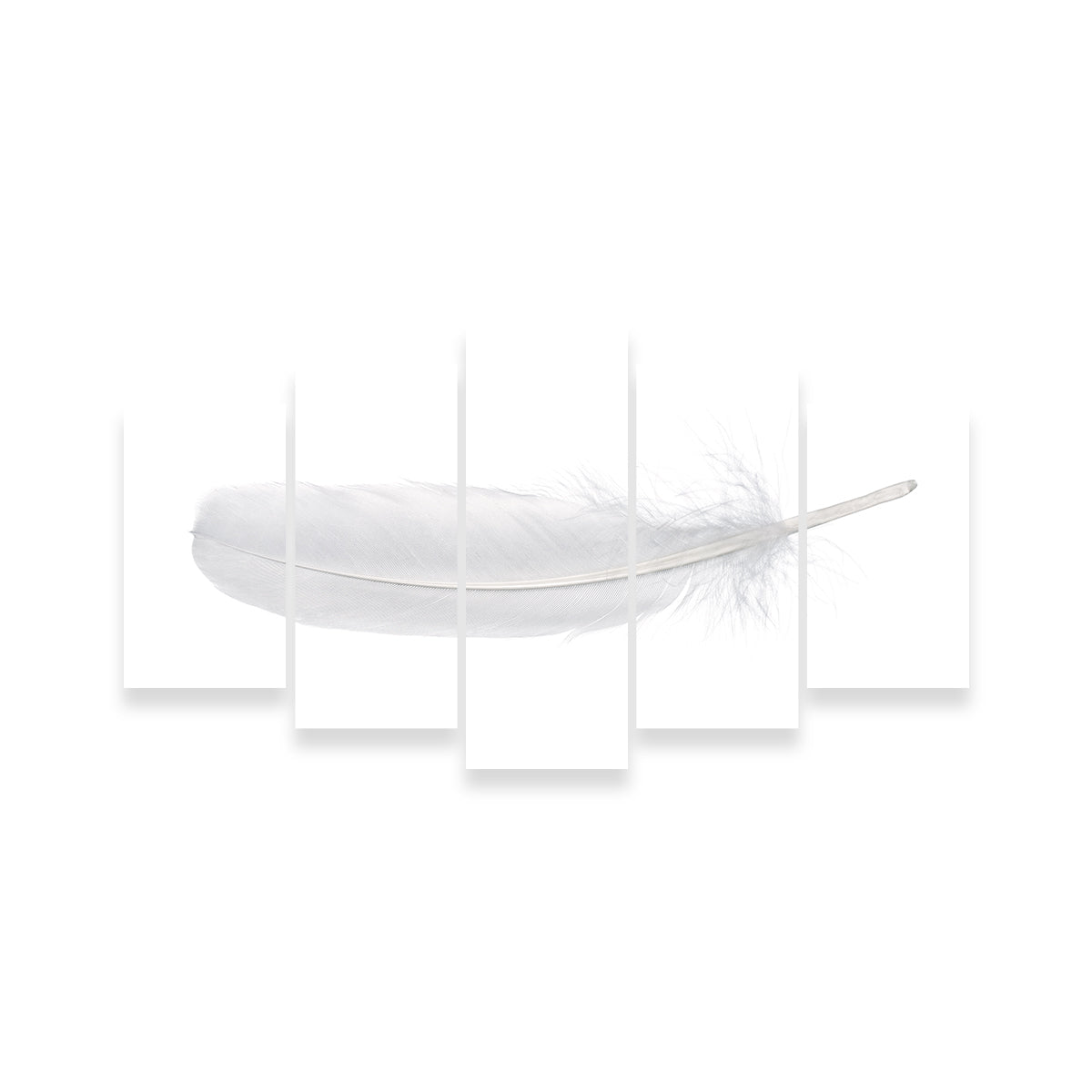 Stunning White Swan Feather Wall Art for Home Decor
