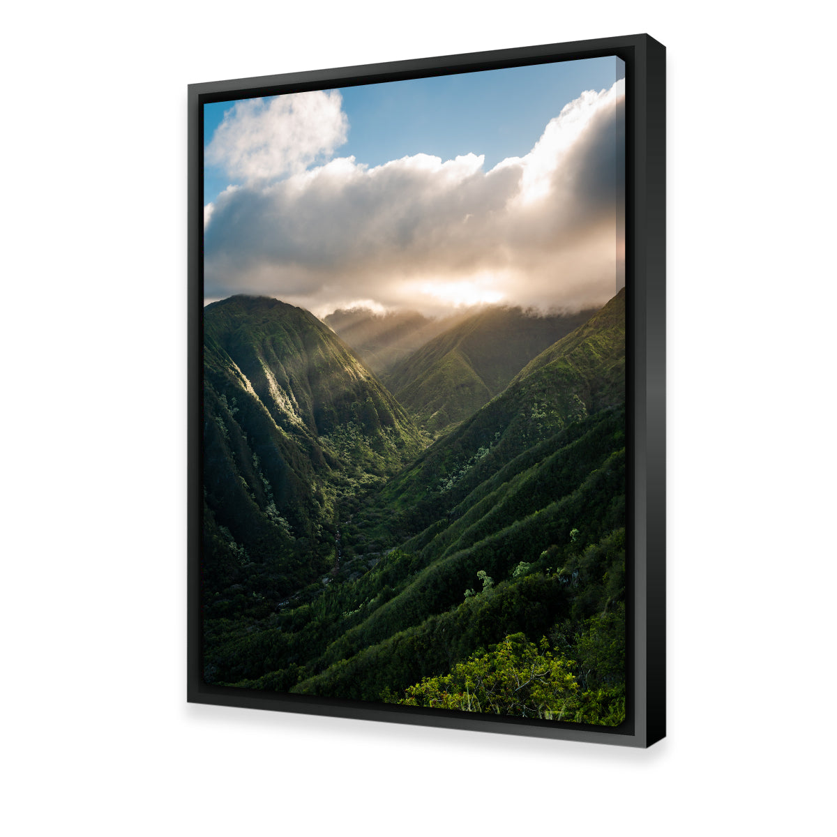 Exquisite Valley of Light Wall Art by Lucas Moore