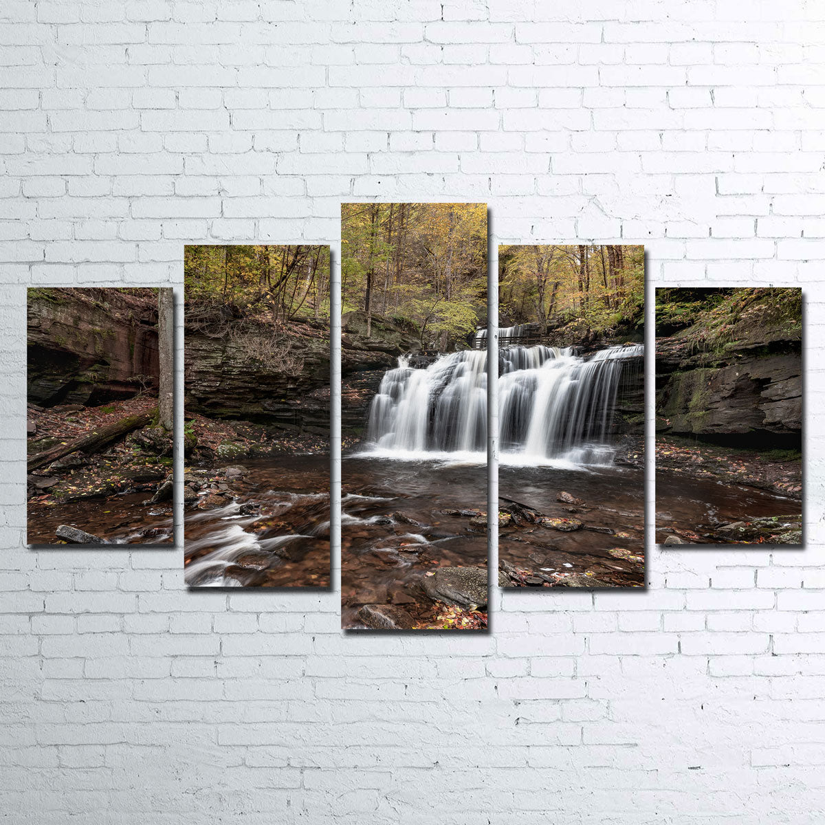 Stunning Who Loves Color Wall Art by Shaun Mayer