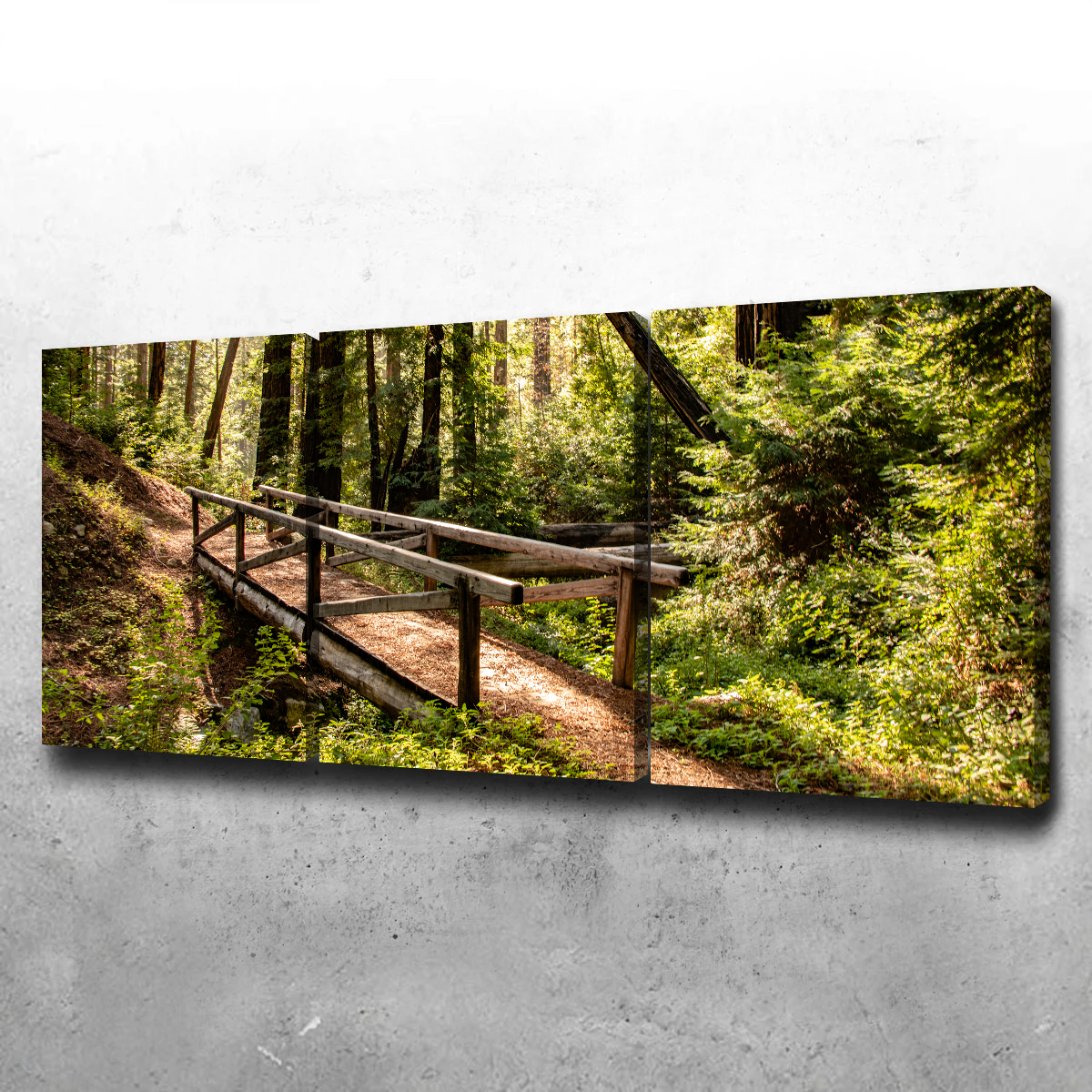 Stunning Ewoldsen Trail Bridge Wall Art by Kyle Sherry
