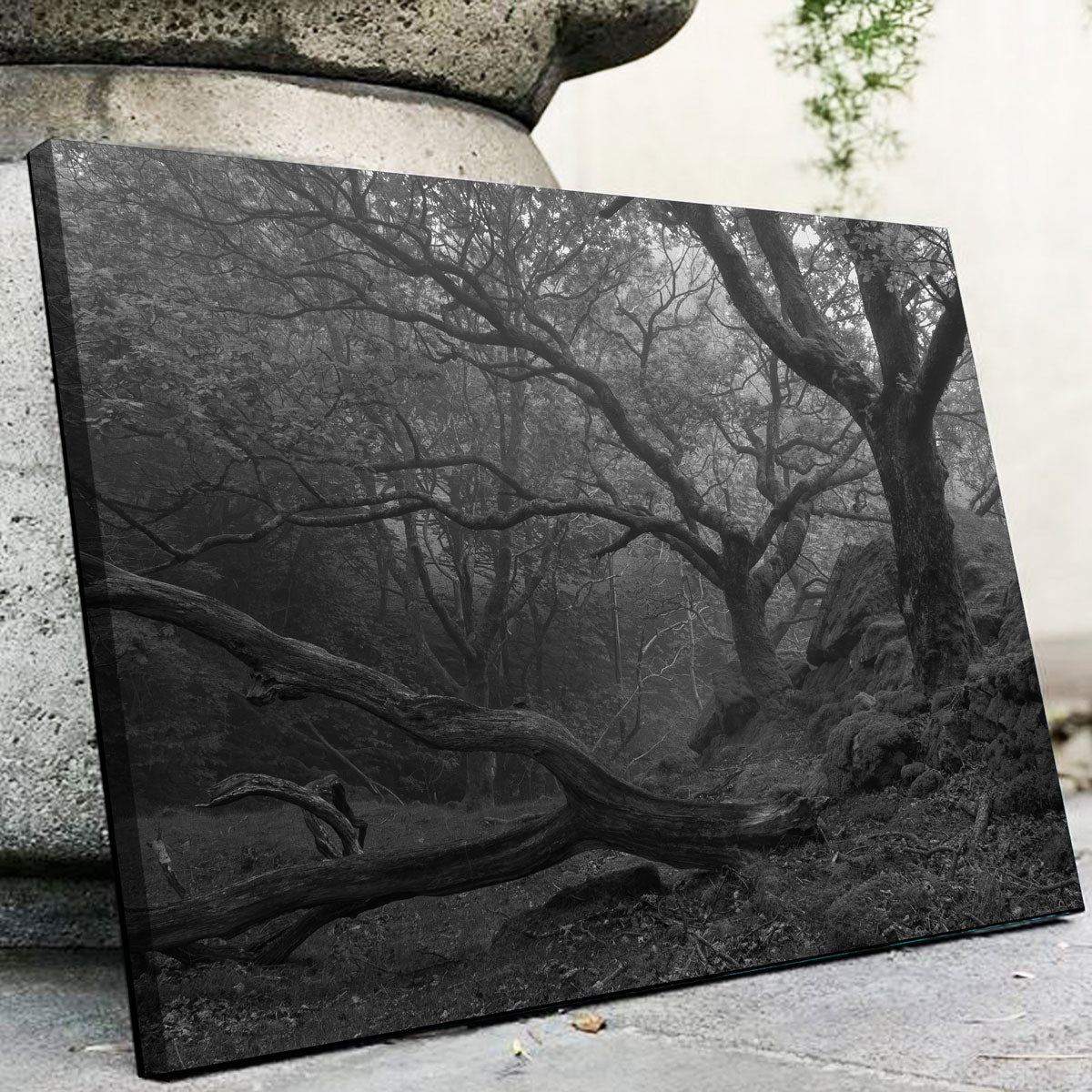 Stunning Thick Roots Wall Art by Mike Cotton