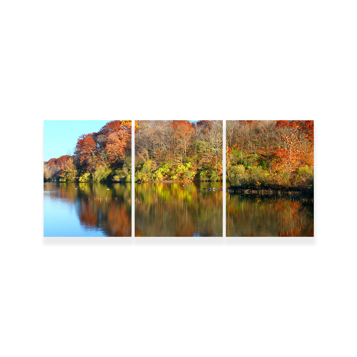 Stunning Kickapoo State Park Wall Art for Your Home Decor