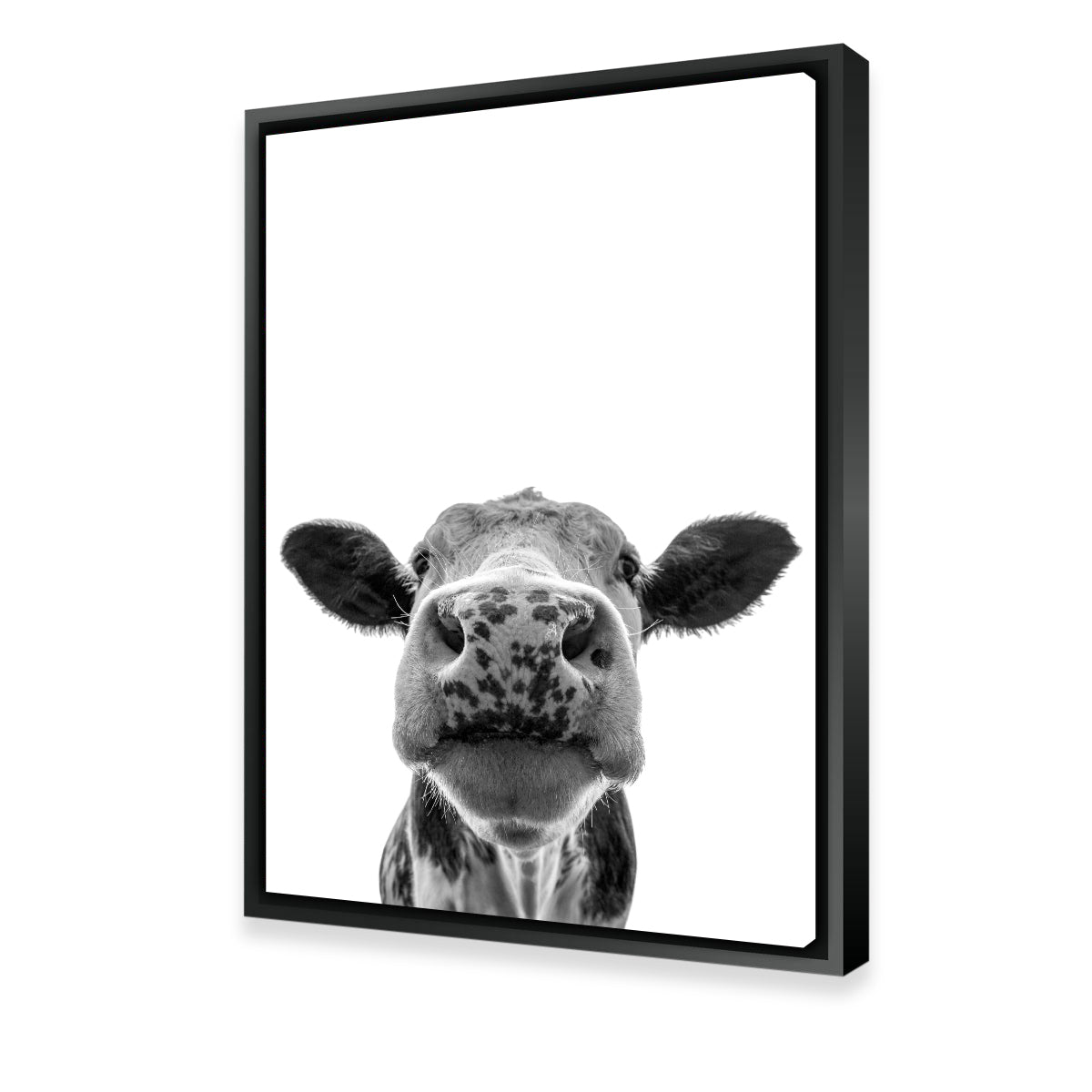Exquisite Cow Wall Art by Lawisi