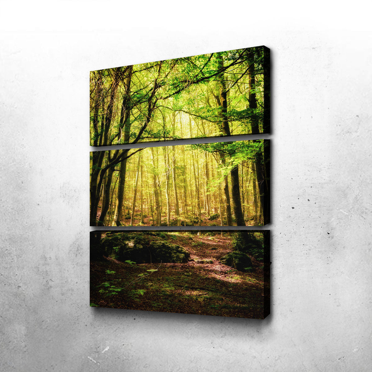 Enchanting Forest Vol. 1 Stunning Wall Art by Stefano Baltieri