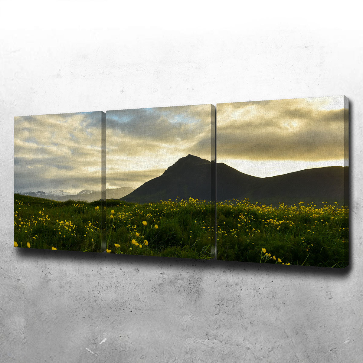 Exquisite Wildflowers Wall Art by Dennis Maida
