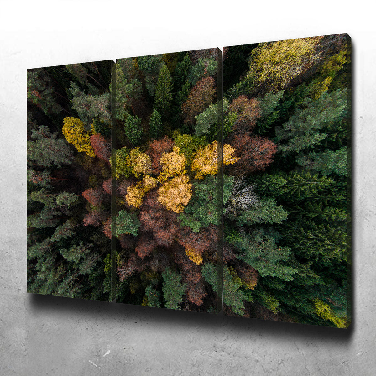Vibrant Colorful Canopy Wall Art by Karolis Janulis