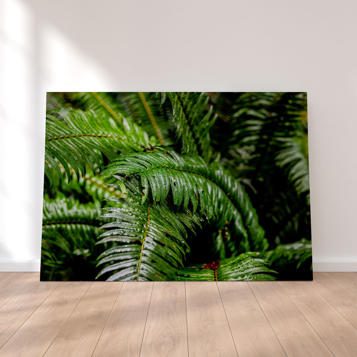 Stunning Fern Leaves Wall Art by Kyle Sherry