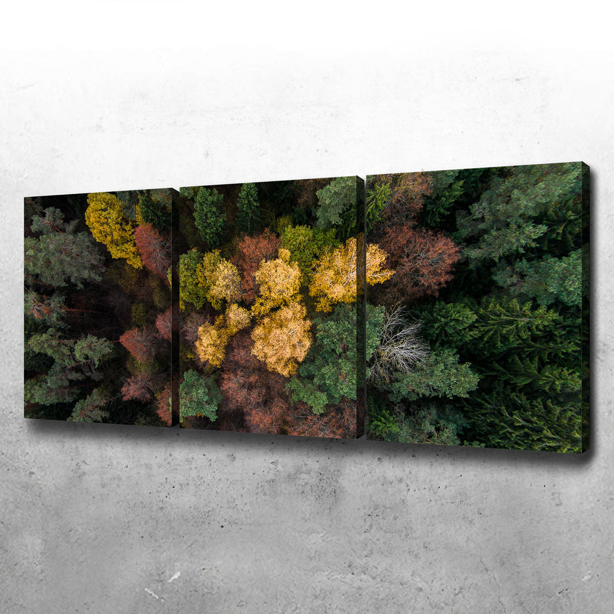 Vibrant Colorful Canopy Wall Art by Karolis Janulis