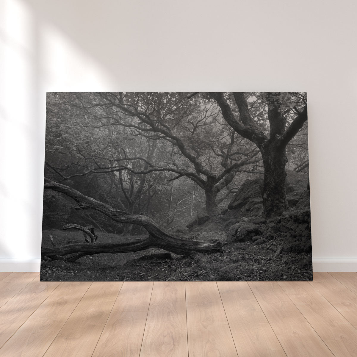 Stunning Thick Roots Wall Art by Mike Cotton