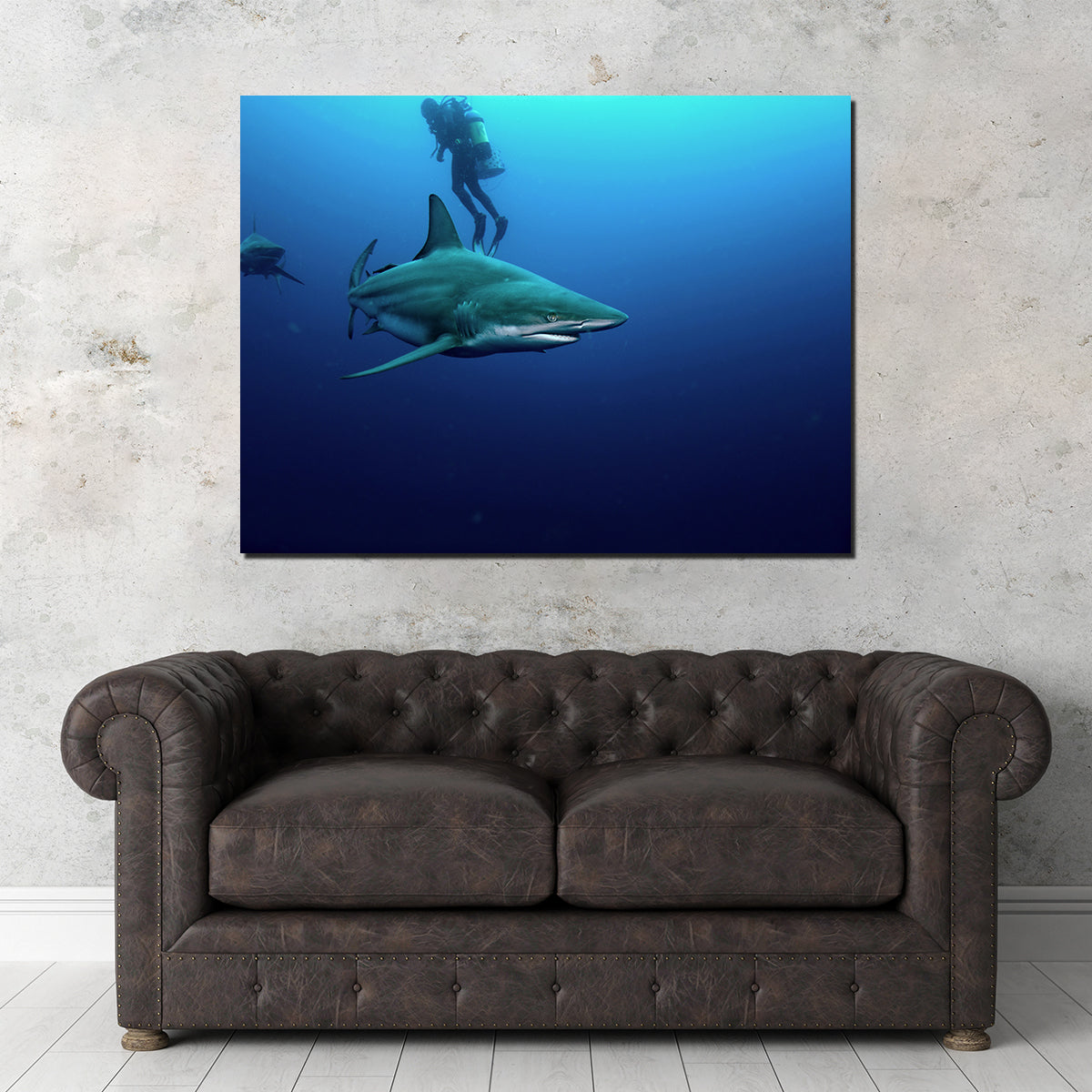 Stunning Bull Shark & Diver Wall Art for Your Home Decor